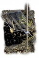 Brndi Grill, ERSATZ Grillrost 